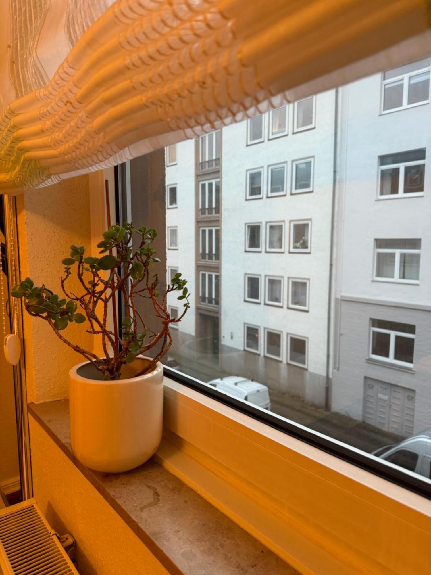 Apartment Frankenberger *